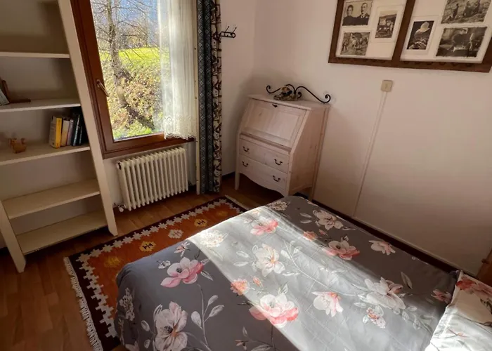 Da Bino - Vicino Pista Ciclabile Valle di Cadore